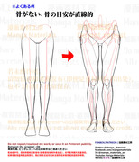 個人メモ：直立時の脚