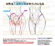 個人メモ：女性の腰周りのポイント