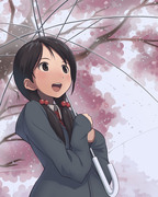 雨の日の桜