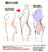 個人メモ：横向きの体