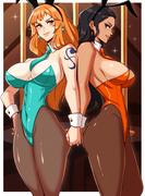 Nami & Robin Bunnies