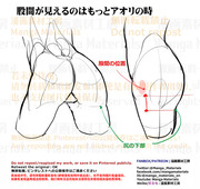 個人メモ：女性の臀部