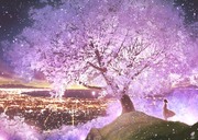 桜夜景2023