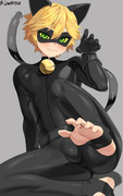 Cat Noir