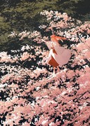 桜の精霊