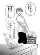 最後にインコちゃんは伝えたい3