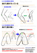 個人メモ：曲げた膝の構造