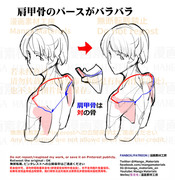 個人メモ：背中・肩甲骨のパースを揃える