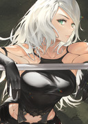 A2