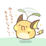 ねこじゃらし