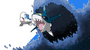 Wishiwashi and Sharpedo