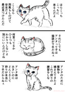 母猫と体の大きい子猫たち