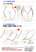 個人メモ：脚の付け根