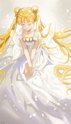 19日目 Princess Serenity