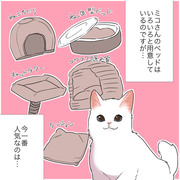 猫のお気に入りスポットがままならない話