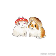 🐰うさ吸い注意報🍄