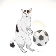 どうしてもハンドになるサッカー猫