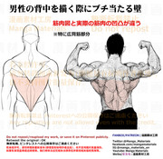 個人メモ：筋肉質な男性の背中・広背筋と深部筋