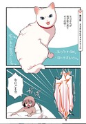 【愛されたがりの白猫ミコさん】元野良猫にウェットフードをあげた話