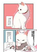 🐈甘えんぼ猫に腕枕ヤクザされてる話😱