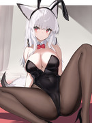 bunny