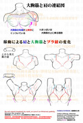 個人メモ：可動による肩・大胸筋・ブラ紐の変化