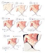 筋肉の練習