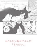 ねこまたとあさごはん29