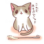 ねこじゃらし