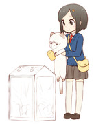 猫と女子高生