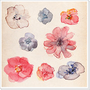 【素材】水彩で描いた花の素材集