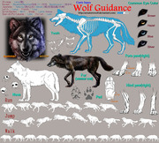 Wolf Guidance