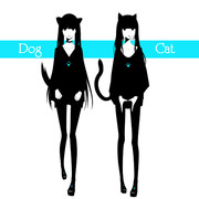 Cat&Dog