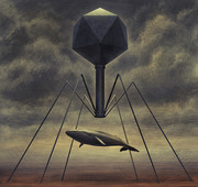 Phage