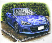 秋の訪れ　SUBARU BRZ