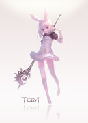 TERA-Elin