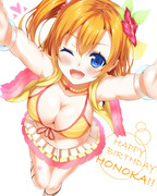 穂乃果ちゃん誕生日おめでとう！