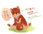 みこ柴犬