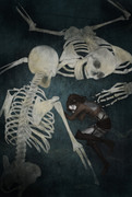 Skelett und Hanj