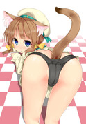 エラー娘猫