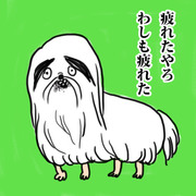 疲れ犬