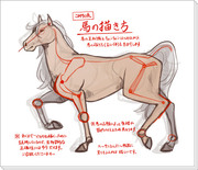 馬・子馬の描き方