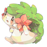 なにこの仔かわいい ポケモン シェイミ Pixiv年鑑 B