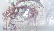 【PFFK】feather snow