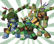 The Turtle Force