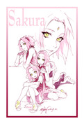 Sakura 3+1