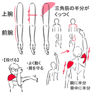 #OEKAKI SUPPLEーJ（肩甲上腕リズム）