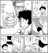 交差点の猫