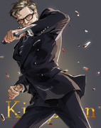 Kingsman logs