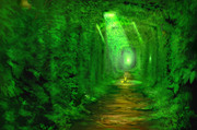 緑のトンネル抜けて